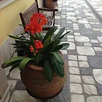 La Del Cavaliere 3* Borgo Montello