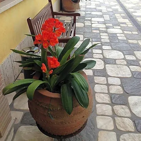 La Del Cavaliere 3* Borgo Montello
